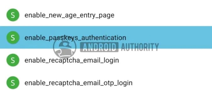 Indícios de suporte a passkeys encontrados no aplicativo do Spotify para Android