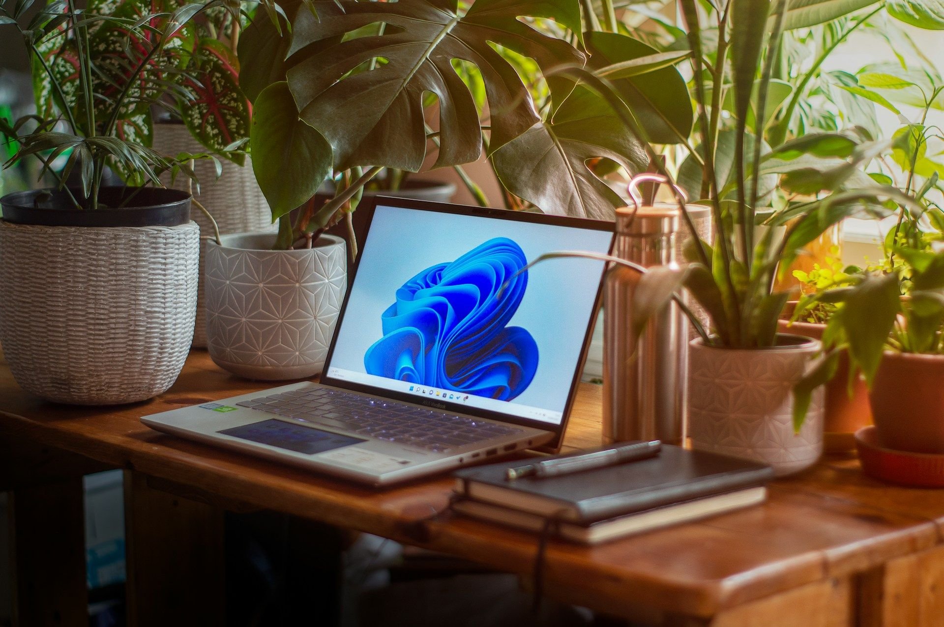 Copilot no Windows 11 ganha recurso para diagnosticar o hardware do PC