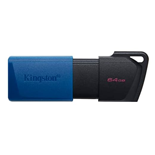 Kingston Flash Drive Exodia M